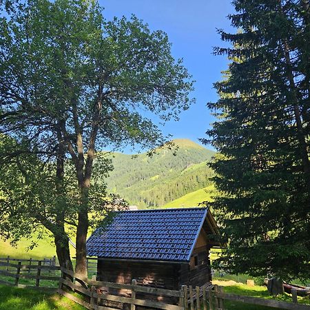 Kinder- Und Familienhotel Nockalm ان كارنتين المظهر الخارجي الصورة